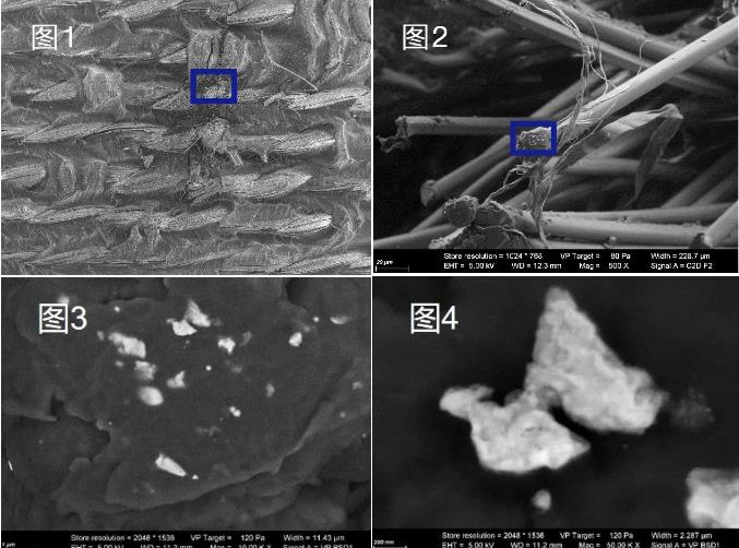 黑龙江蔡司黑龙江扫描电镜