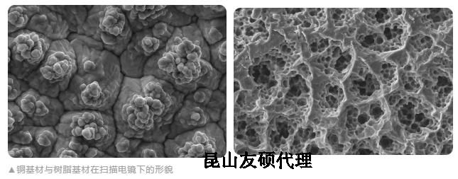 黑龙江蔡司黑龙江扫描电镜